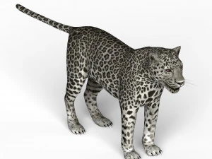 snow jaguar 3D Model