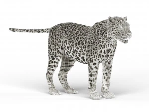 snow jaguar 3D Model