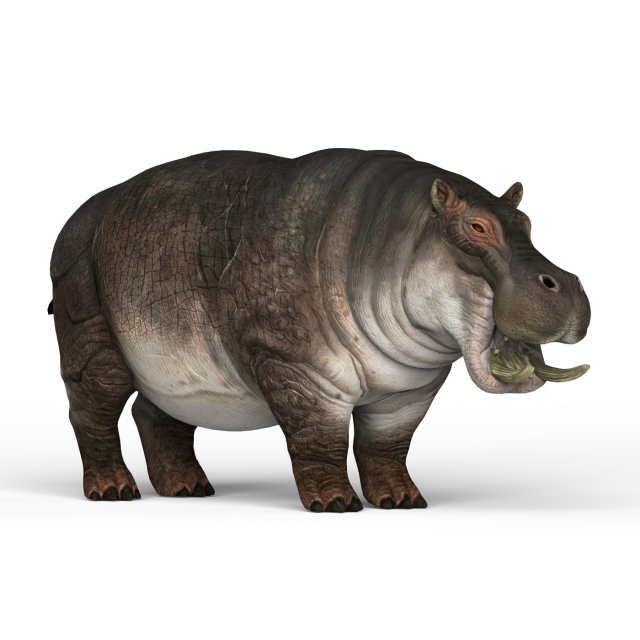 hippopotamus Modelo 3D .c4d .max .obj .3ds .fbx .stl .blend 