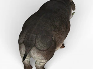 hippopotamus 3D Model