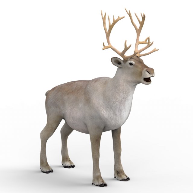 reindeer Modello 3D .c4d .max .obj .3ds .fbx .stl .blend 