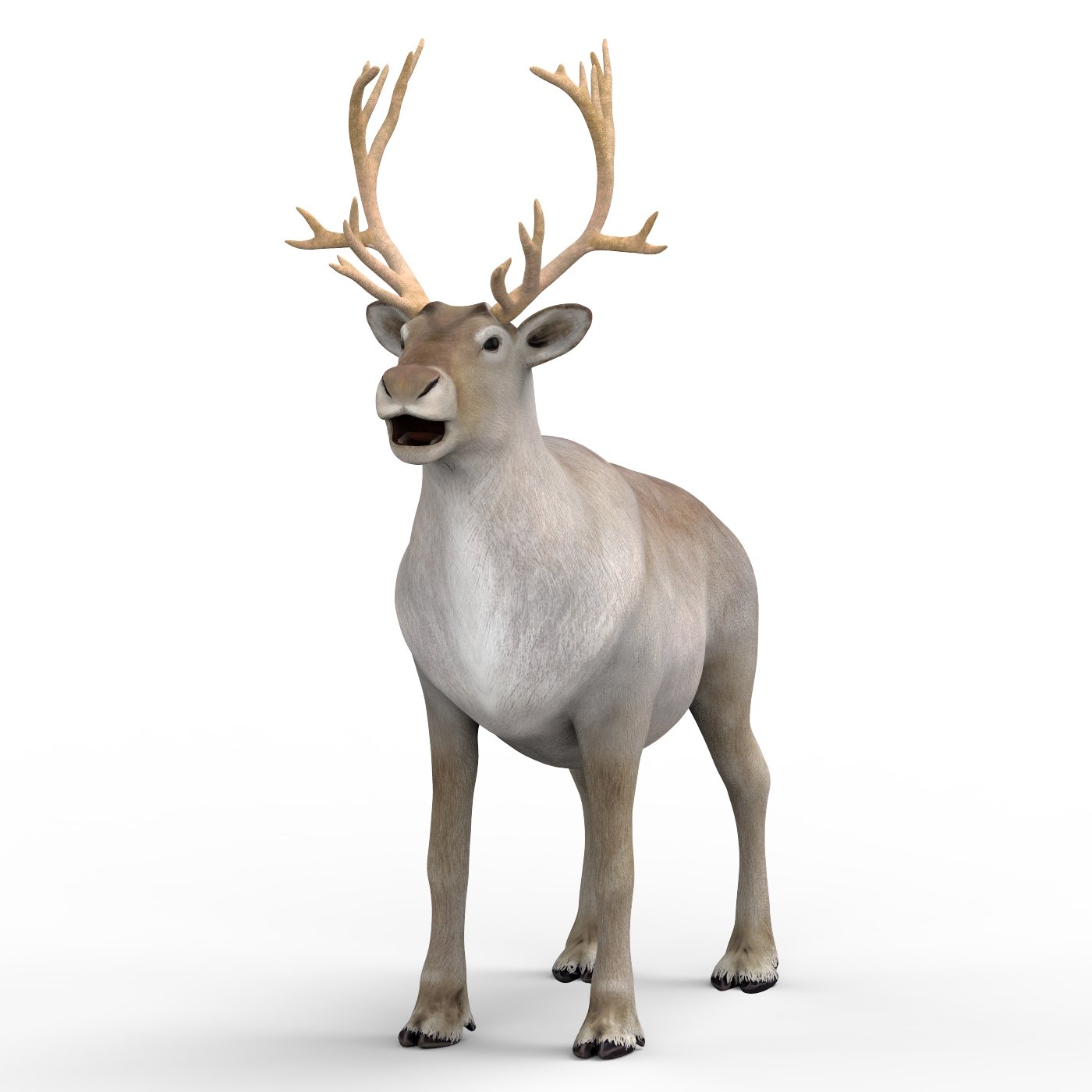 Северный олень 3 5. Reindeers модель. Северный олень ДНД картинка. Redhead Reindeer model.