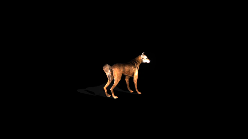 stray dog mix breed 3D Model .c4d .max .obj .3ds .fbx .stl .blend 