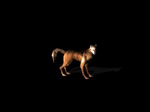 stray dog mix breed 3D 模型