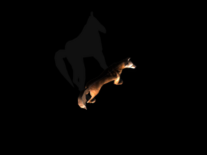 stray dog mix breed 3D 模型