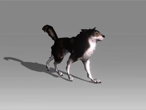 stray dog 3 3D मॉडल