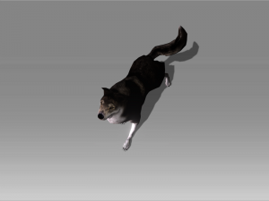 stray dog 3 3D Model