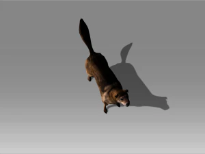 stray dog 2 3D Model