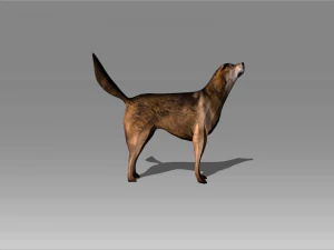 stray dog 2 3D Model