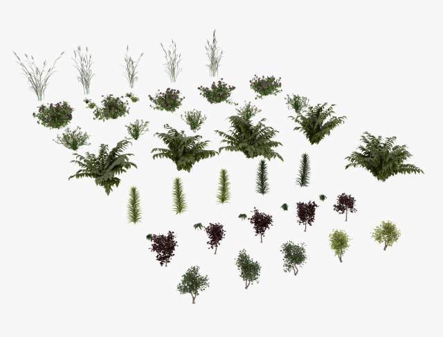 shrub alpine 3D 模型 .c4d .max .obj .3ds .fbx .stl .blend 