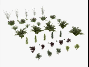 shrub alpine 3D Model