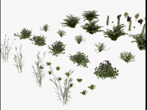 shrub alpine 3D 模型
