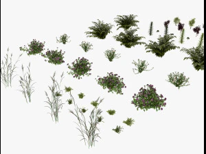 arbusto alpino Modello 3D