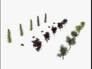 shrub alpine 3D 模型