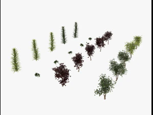 arbusto alpino Modello 3D