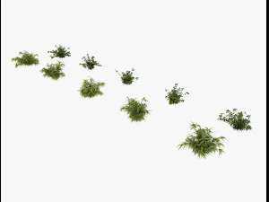 arbusto alpino Modello 3D