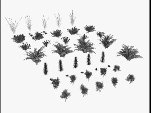 arbusto alpino Modello 3D