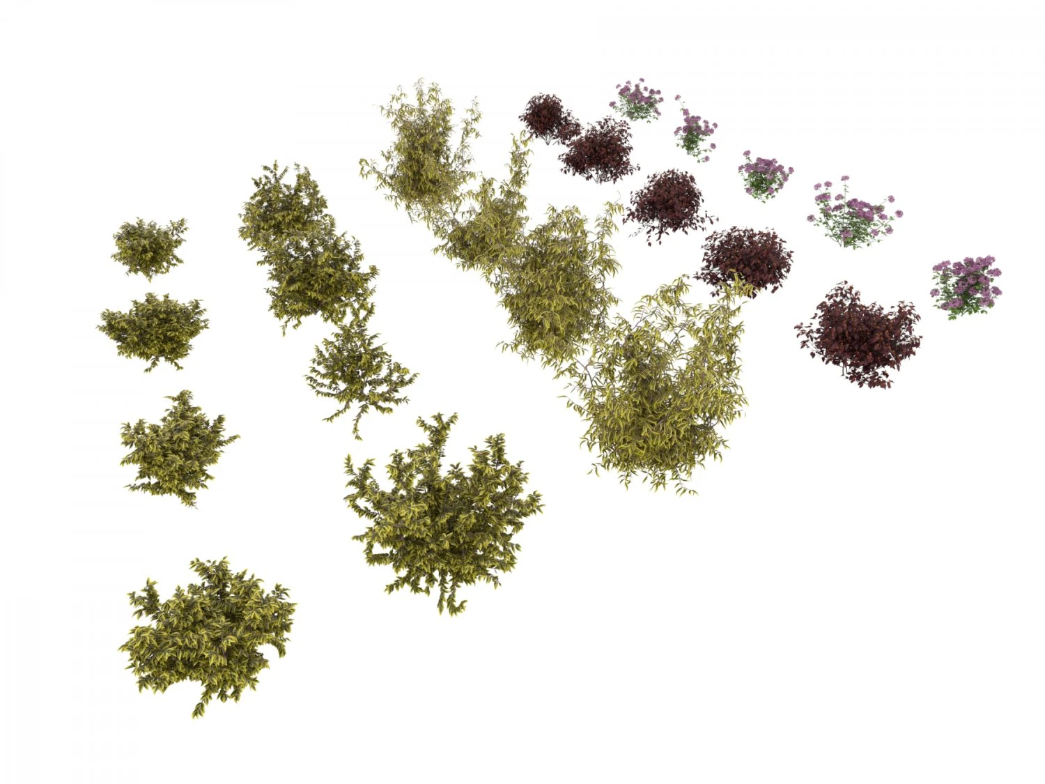 shrub alpine 2 3D Model .c4d .max .obj .3ds .fbx .stl .blend 