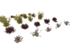 shrub alpine 2 3D Model