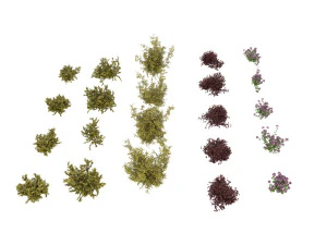 shrub alpine 2 3D Model