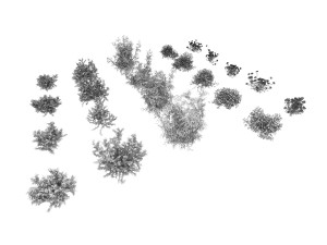 shrub alpine 2 3D 模型