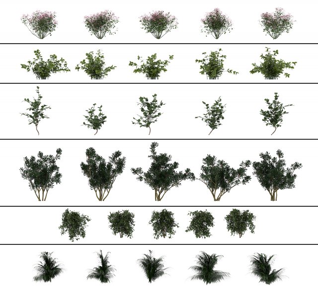 shrub alpine 3 Modelo 3D .c4d .max .obj .3ds .fbx .stl .blend 