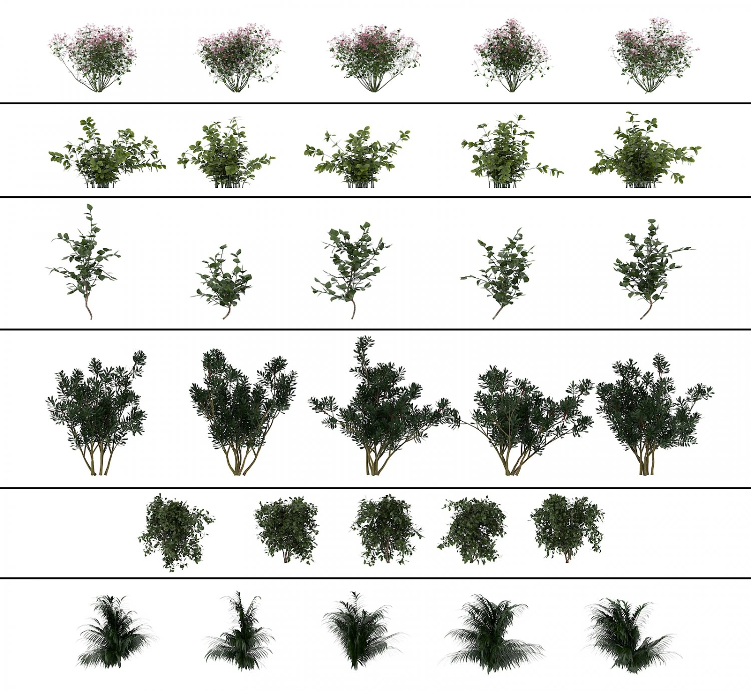 shrub alpine 3 3D Model .c4d .max .obj .3ds .fbx .stl .blend