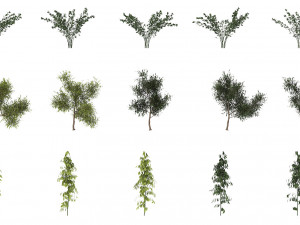 shrub alpine 3 Modelo 3D