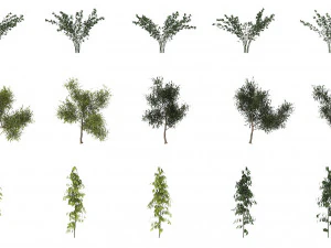 shrub alpine 3 3D Model