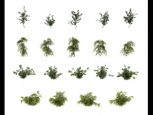 shrub alpine 3 Modelo 3D