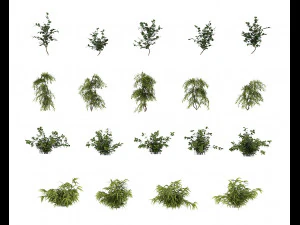 shrub alpine 3 3D Model