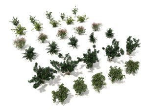 shrub alpine 3 Modelo 3D