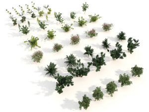 shrub alpine 3 Modelo 3D