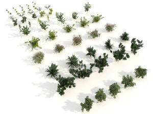 shrub alpine 3 3D Model