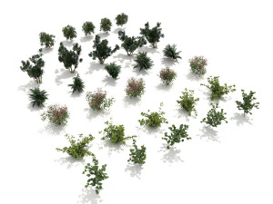 shrub alpine 3 3D Model