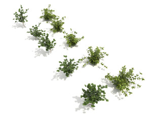 shrub alpine 3 Modelo 3D