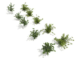 shrub alpine 3 3D Model