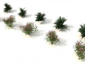 shrub alpine 3 Modelo 3D