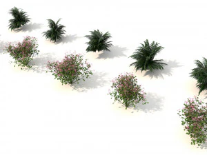 shrub alpine 3 3D Model