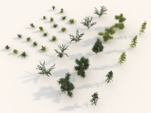 shrub alpine 3 Modelo 3D