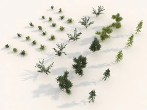 shrub alpine 3 3D Model