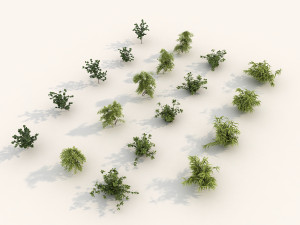 shrub alpine 3 Modelo 3D