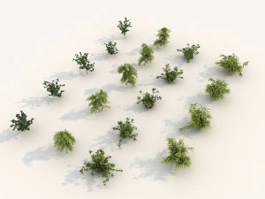 shrub alpine 3 3D Model