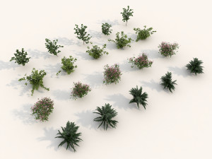 shrub alpine 3 Modelo 3D