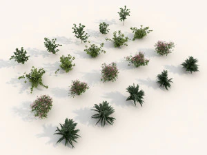 shrub alpine 3 3D Model