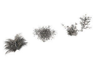 shrub alpine 3 Modelo 3D