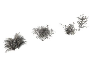 shrub alpine 3 3D Model