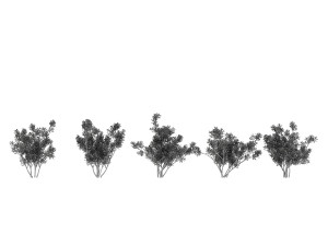 shrub alpine 3 Modelo 3D