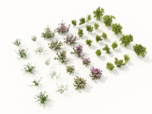 realistisches Strauchstrauch-Set 3D Modell
