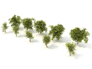 realistic shrub bush set 3D Model